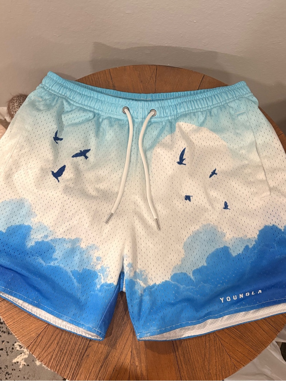 YoungLA Men's Sky-to-Cobalt Gradient Swim Trunks with Bird Motif